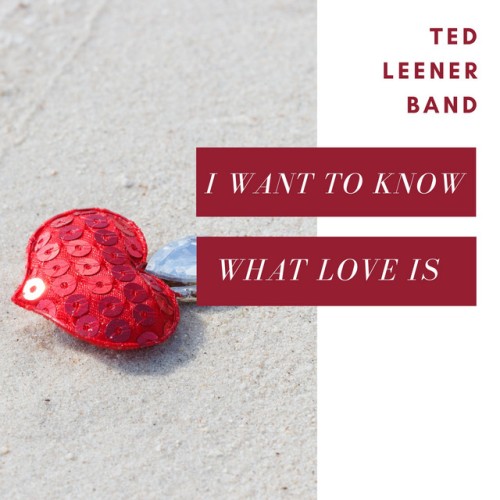 Ted Leener Band