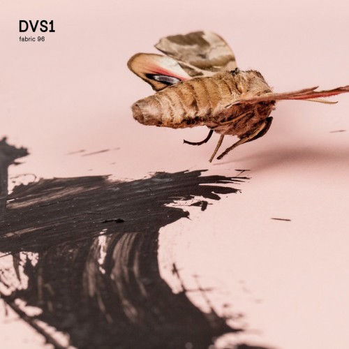 DVS1