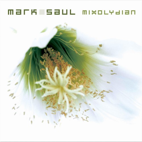 Mark Saul