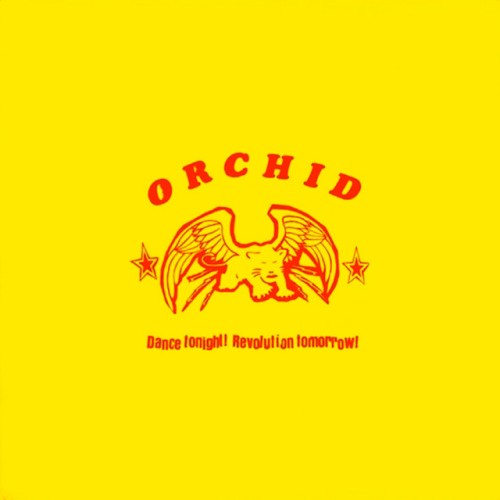 Orchid