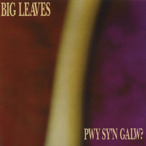 big leaves