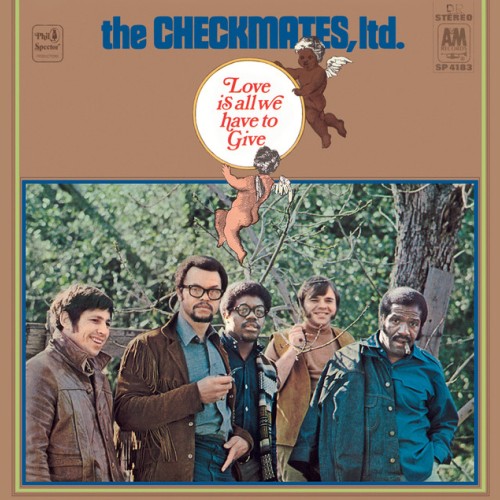 The Checkmates Ltd.