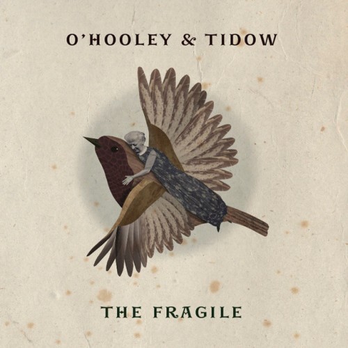 O'Hooley & Tidow