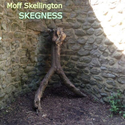 Moff Skellington