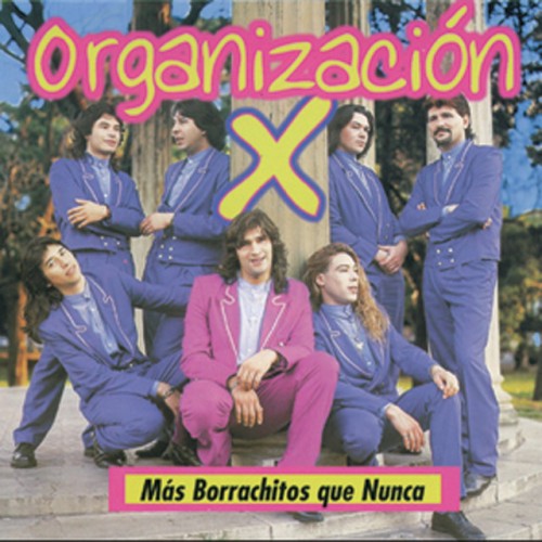 Organización X