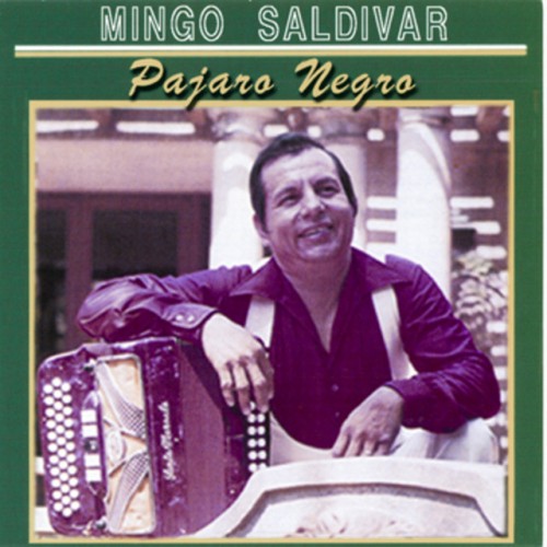 Mingo Saldivar