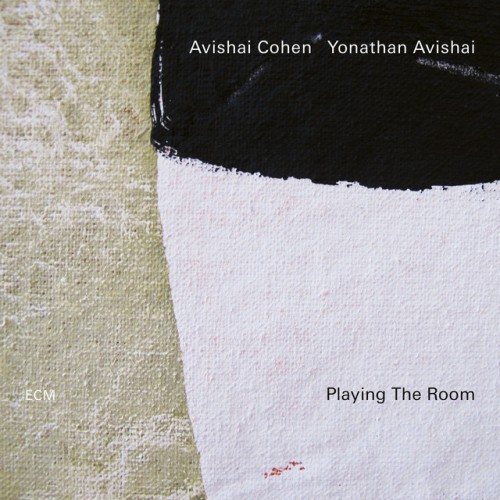 Yonathan Avishai