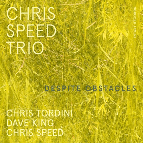 Chris Speed Trio