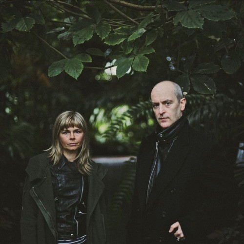 The Vaselines