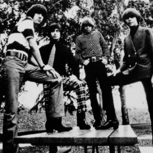 The Standells